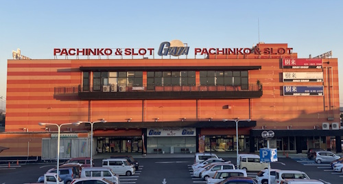 ガイア竜ヶ崎店