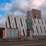 真駒内ひまわり