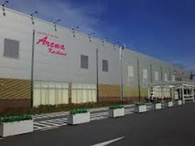 アリーナ柏店