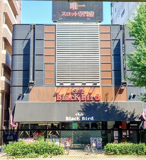 BLACK　BIRD