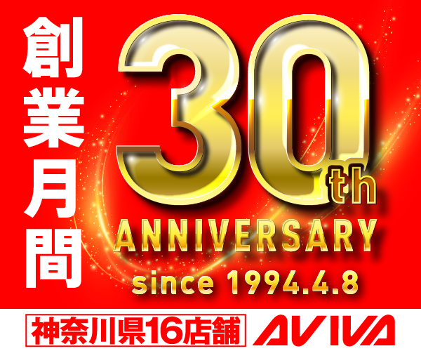アビバ30周年A_600-500-1_0