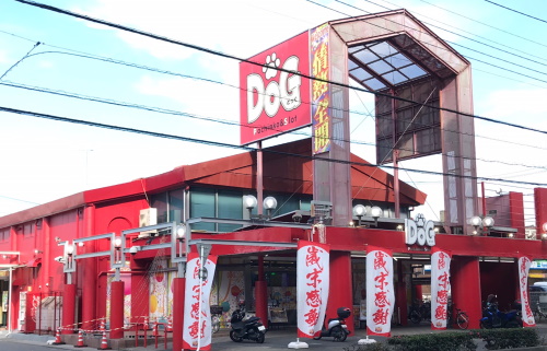 ドッグ草加店