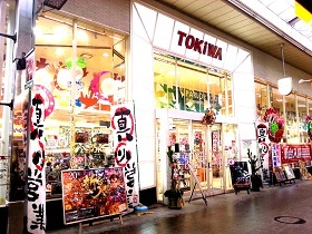 トキワ