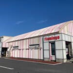 フラミンゴ椎名崎店