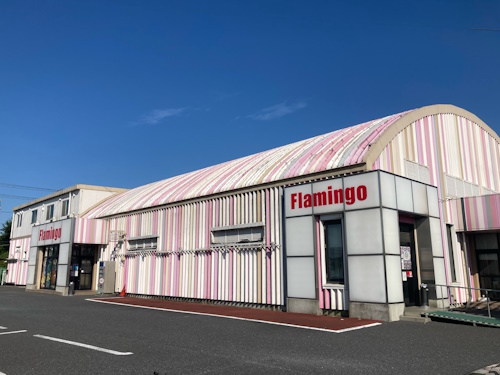 フラミンゴ椎名崎店