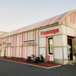 フラミンゴ椎名崎店