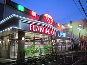 フラミンゴ大日店