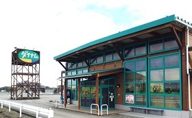 ダイナム小杉店