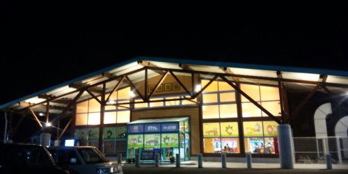 ダイナム日向店