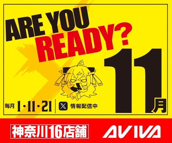 11月AVIVA